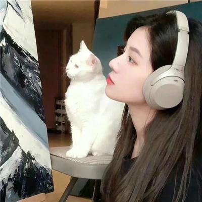 科洛弗悖论 封面