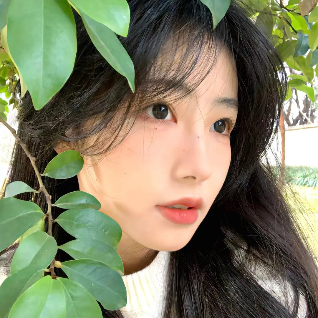 西环的故事 封面